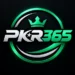 PKR365 app logo representing a digital gaming and betting platform.